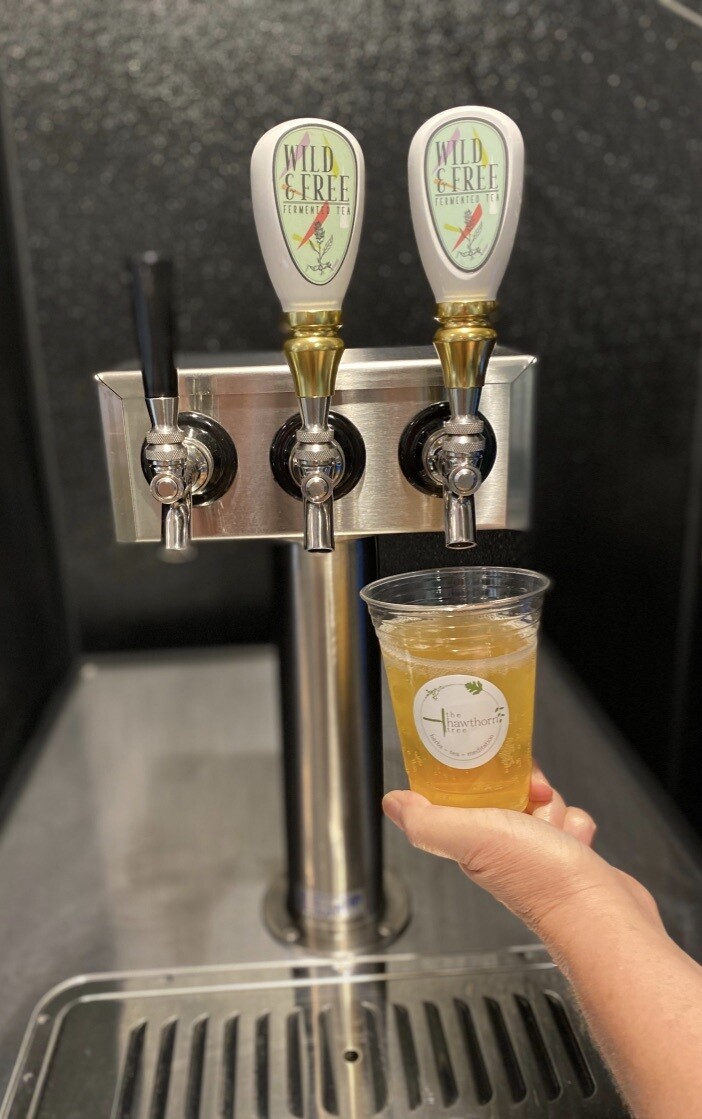 Kombucha On Tap Store The Hawthorn Tree