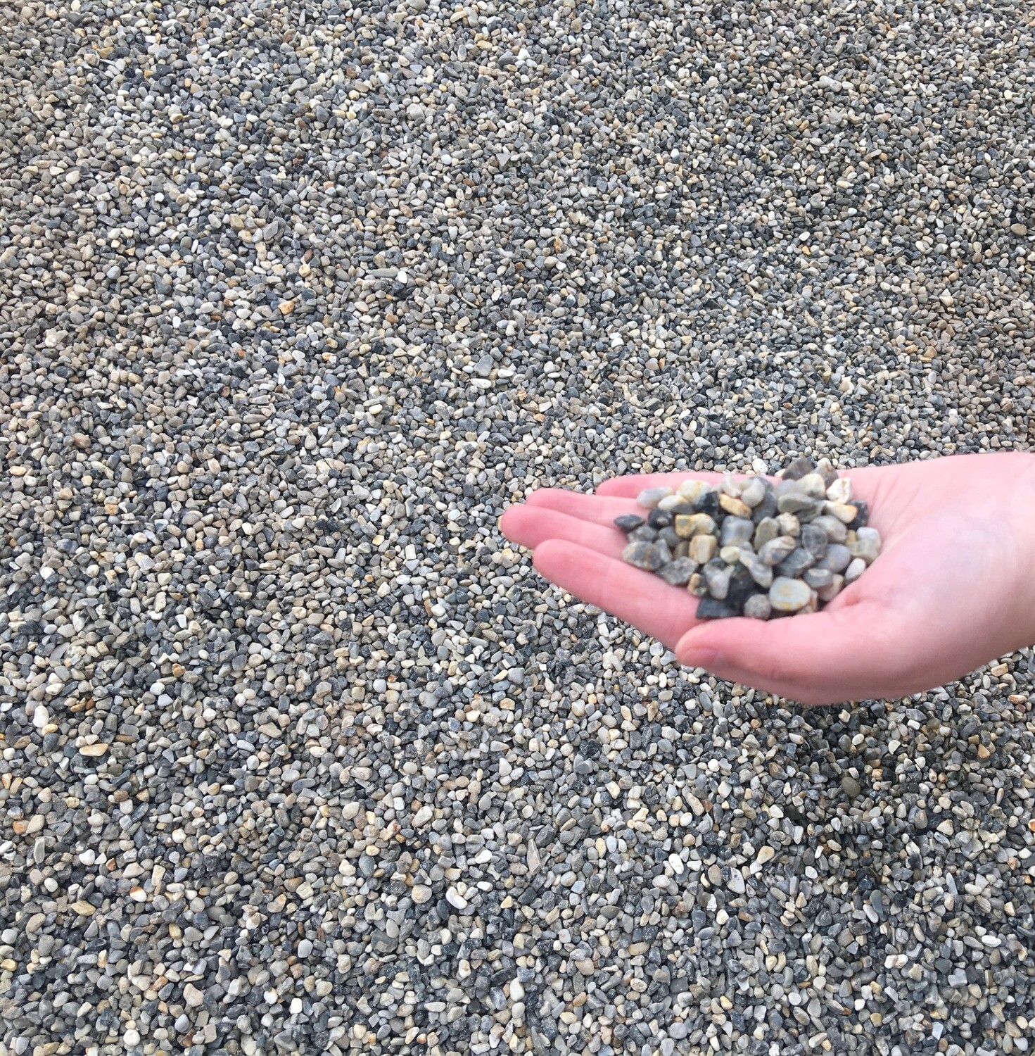 Gray Pea Gravel