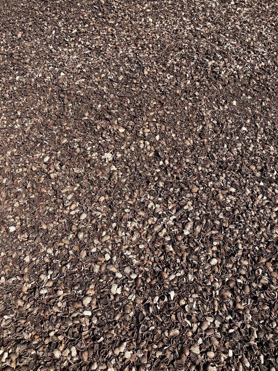 Pecan Mulch