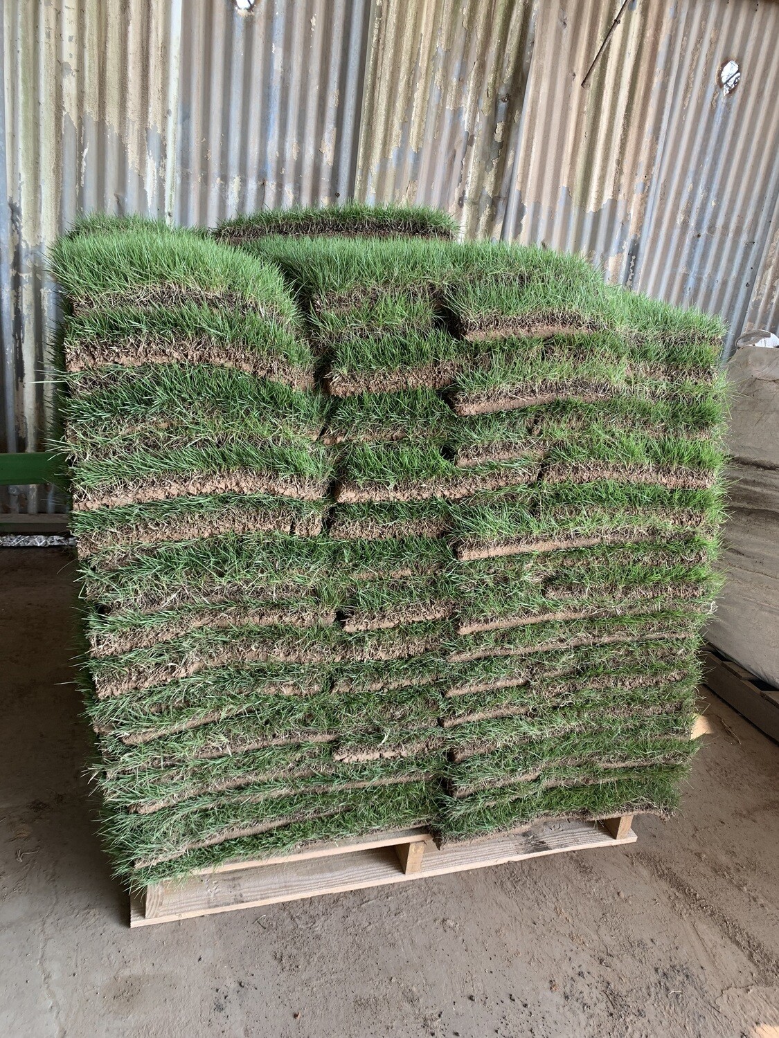Zeon Zoysia Pallet