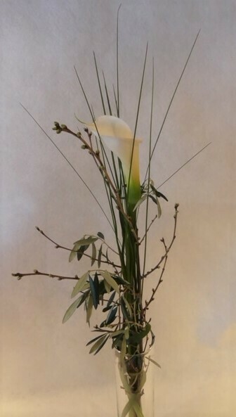 Calla weiss Ausgarniert