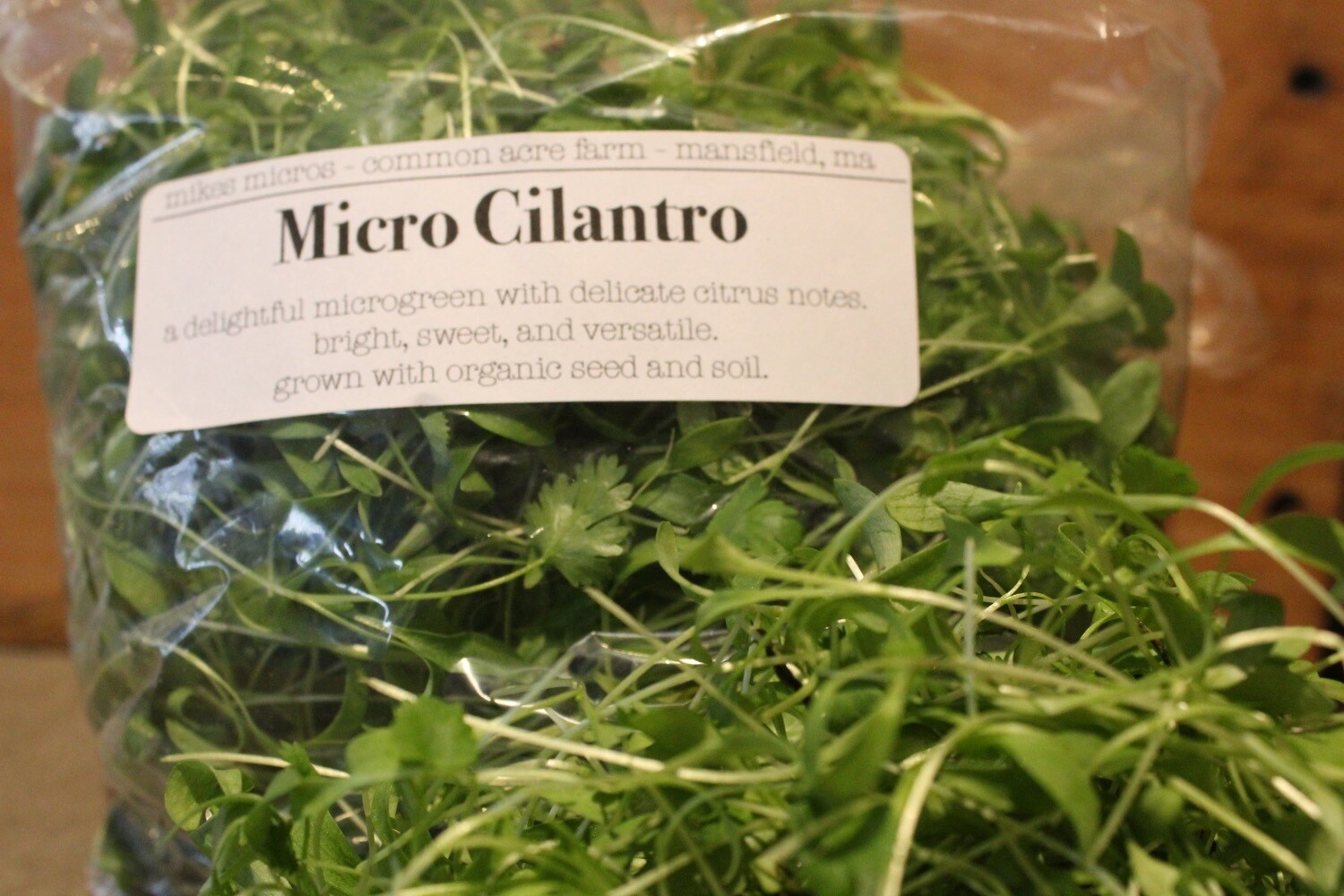 Cilantro microgreens 1 oz clamshell