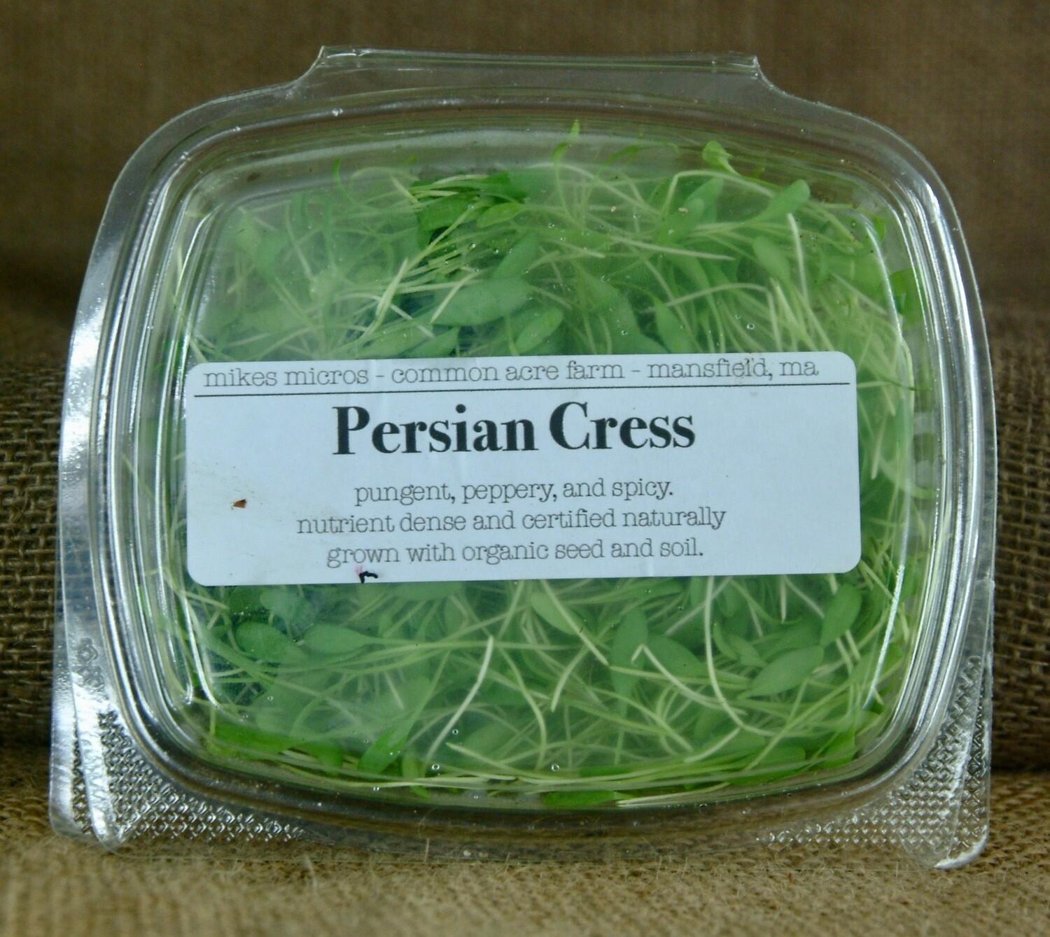 Persian Cress microgreens 1 oz clamshell