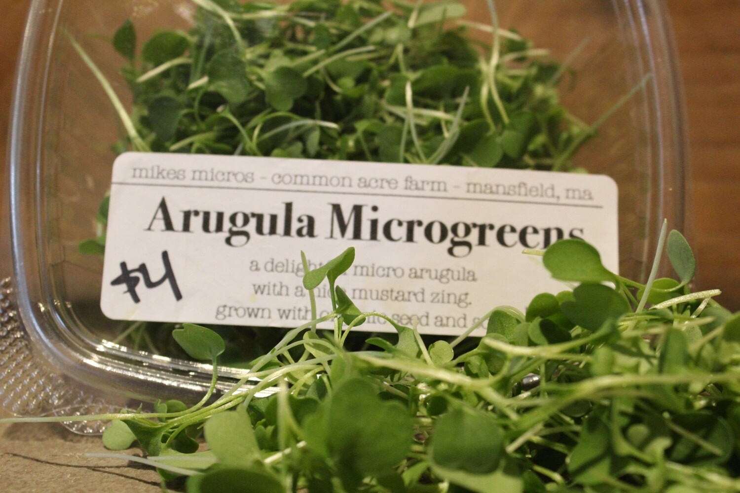 Arugula microgreens small 1 oz clamshell
