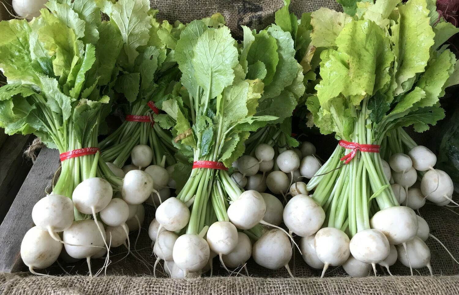 White Salad Turnips 2lbs Bag