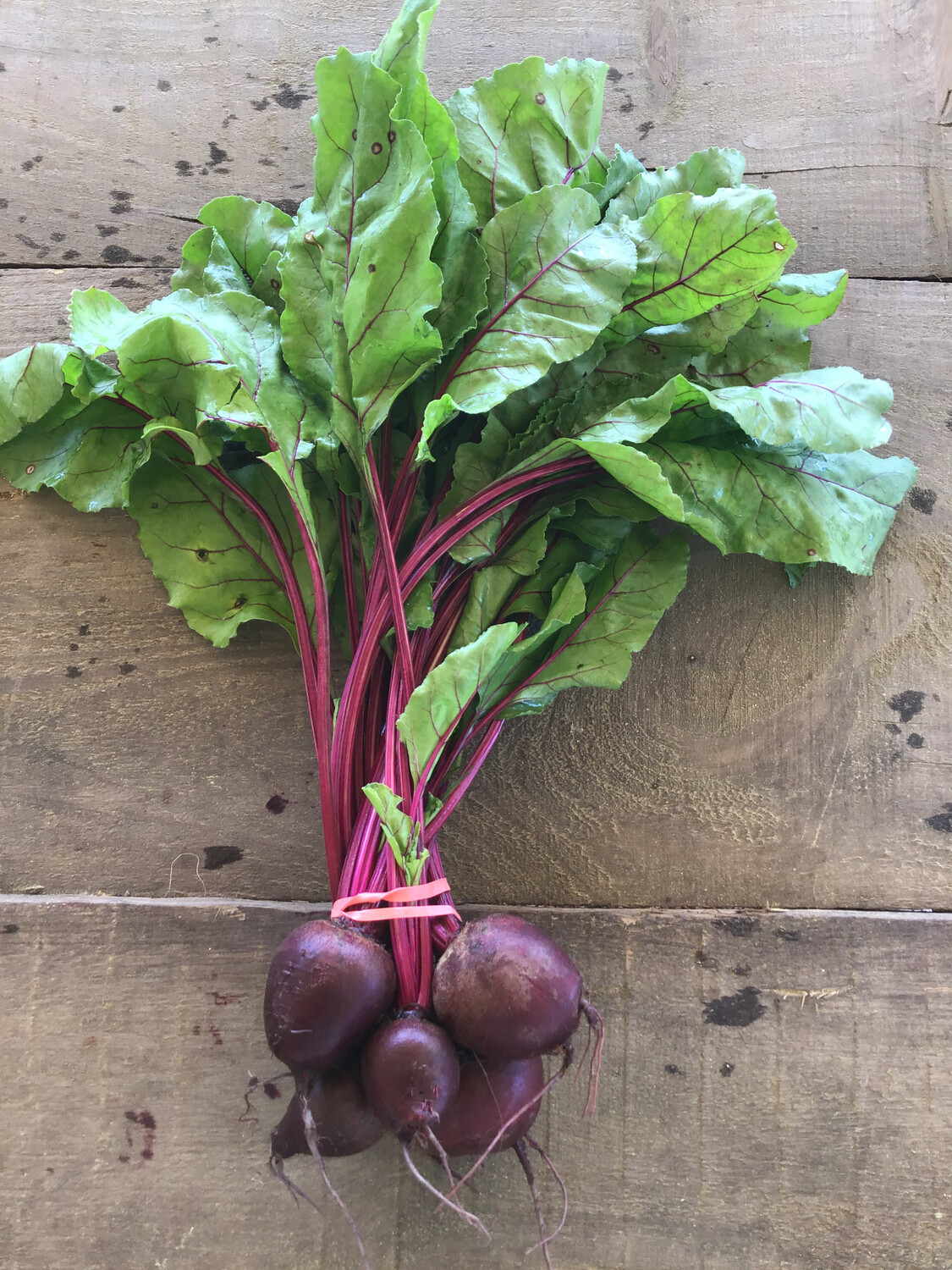 Red Beets Bunch