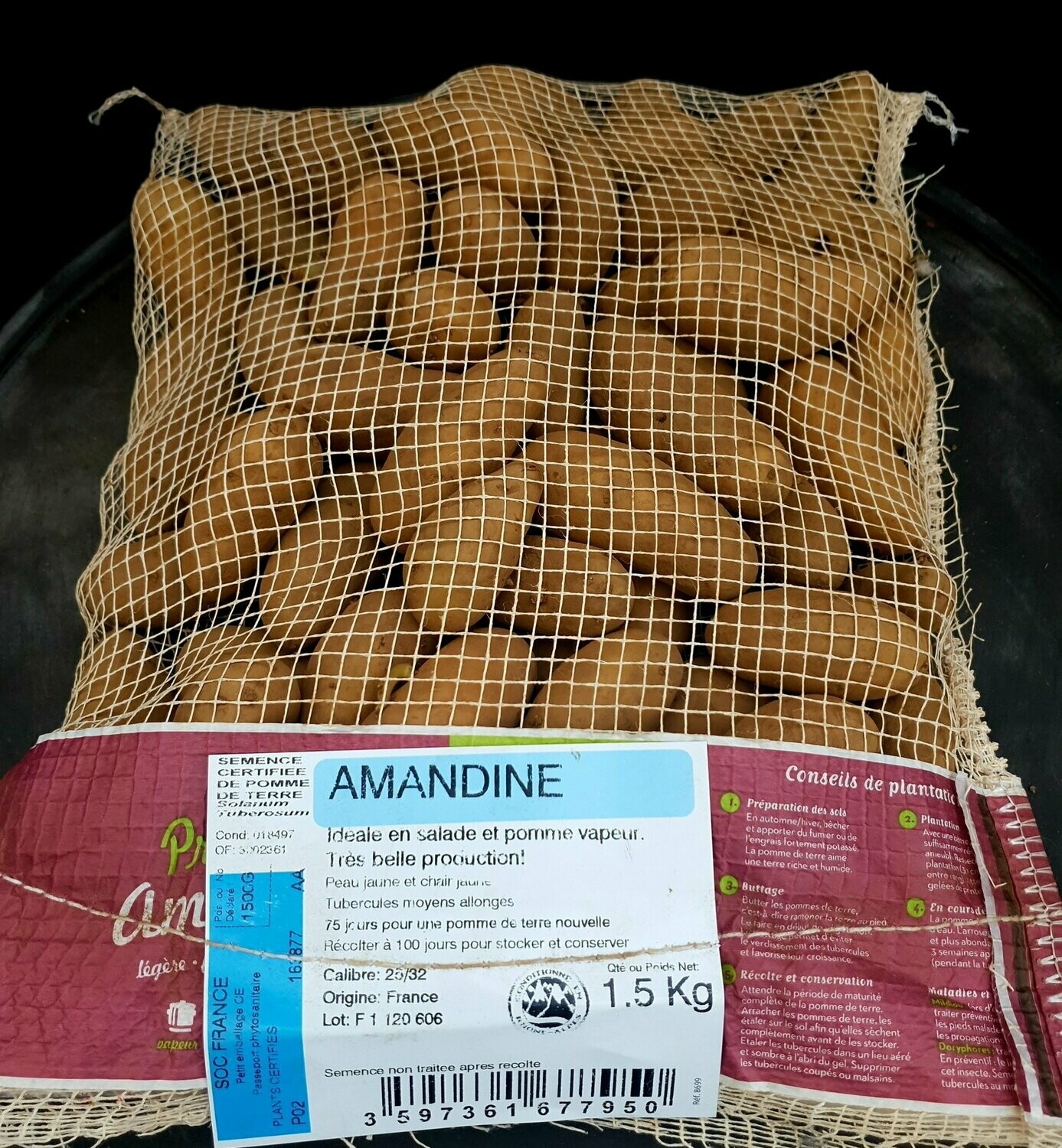 Plants de pomme de terre 1.5 kg