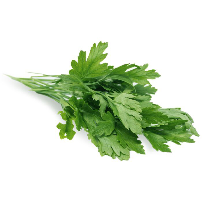 Flat Leaf Parsley Bunch 20