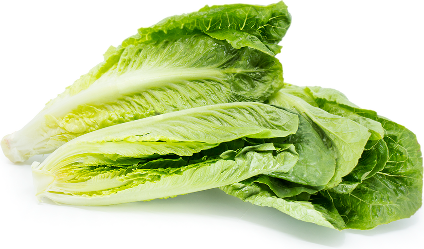 Lettuce, Romaine 24ct. Calif.