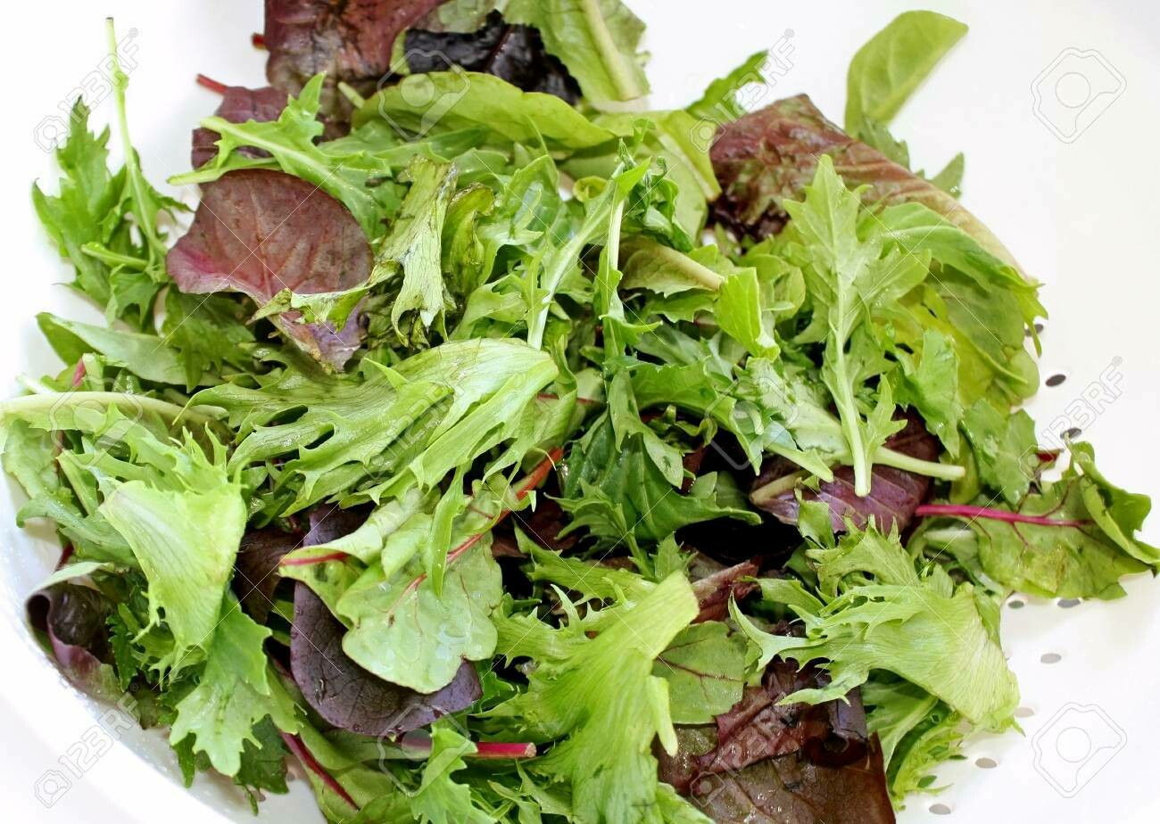 Lettuce, Mesclun/Spring Mix