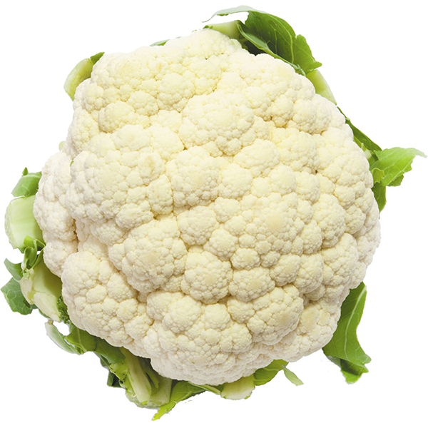 CAULIFLOWER HEAD
