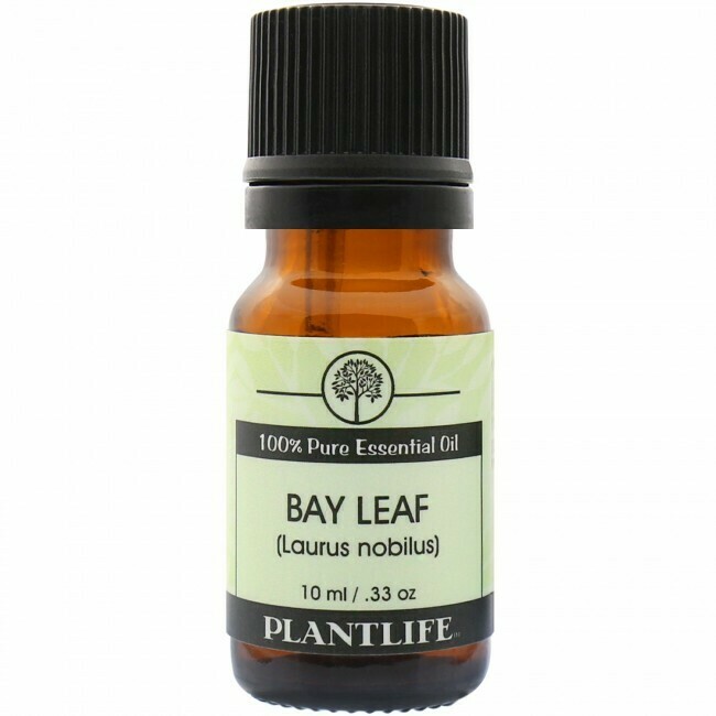 Bay Leaf Essential Oil 10mls