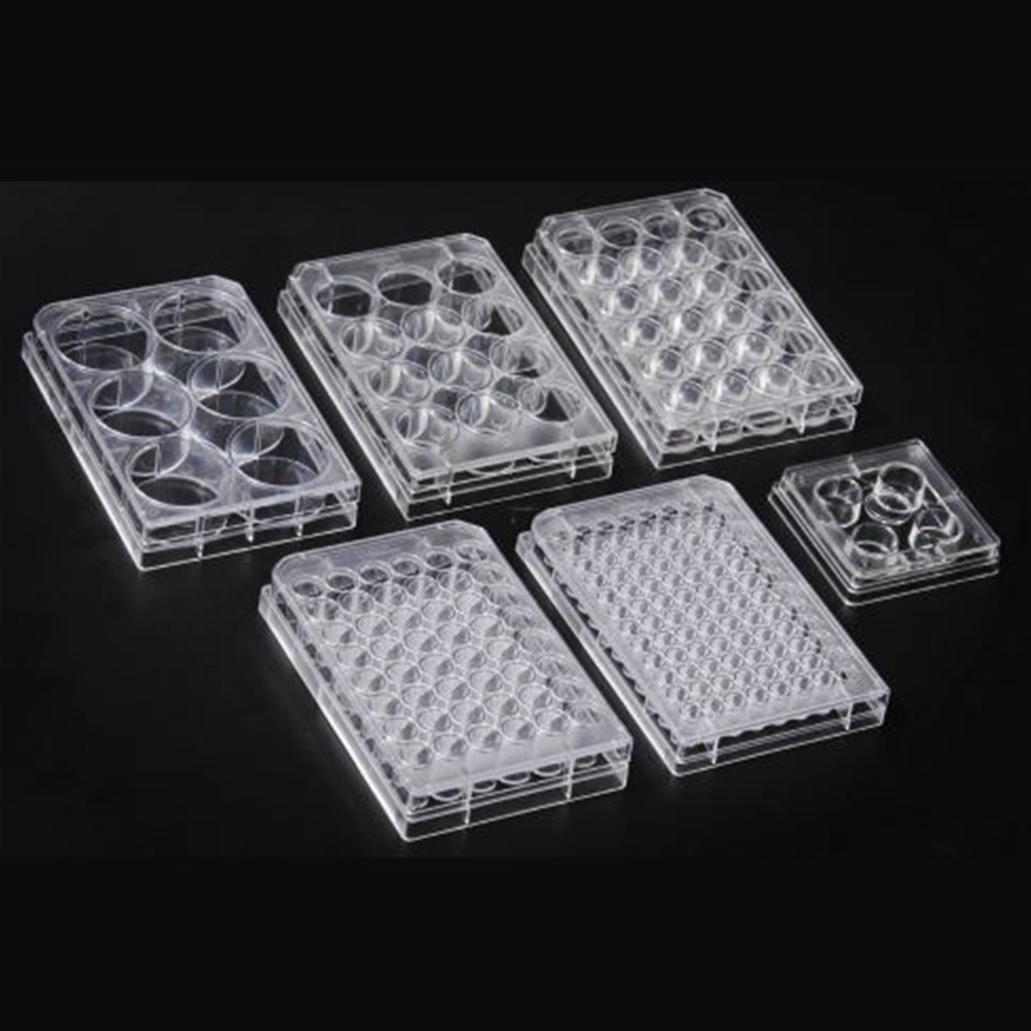 SPL Life Science Cell Culture Products