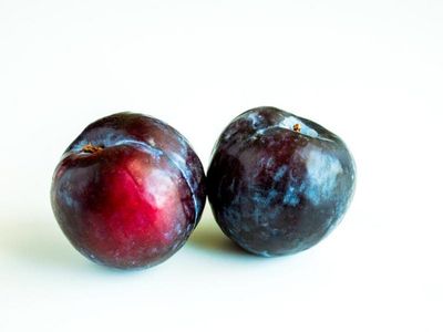 Round Plums