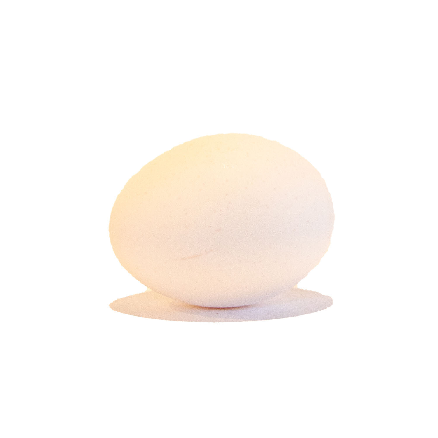 Great Morning Eggs