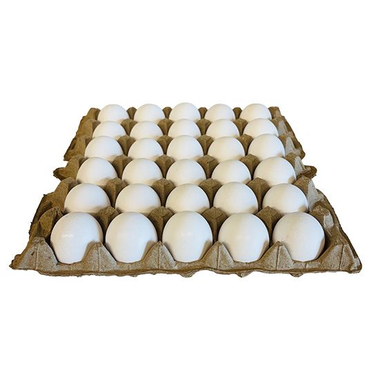 Great Morning Eggs