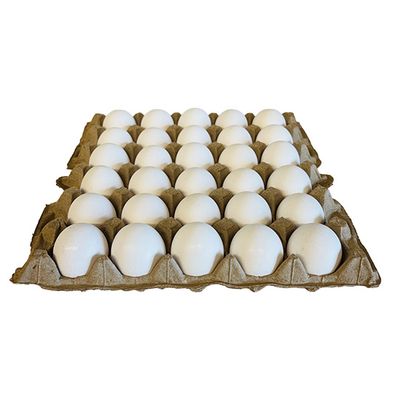 Great Morning Eggs