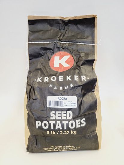 Seed Potatoes