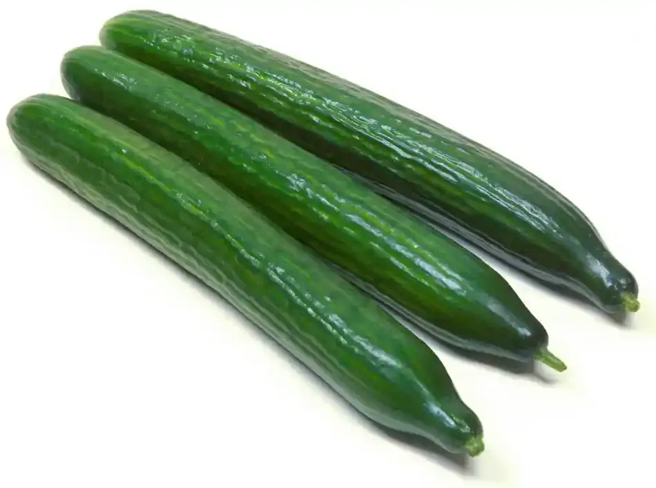 Greenland Gardens English Cucumber