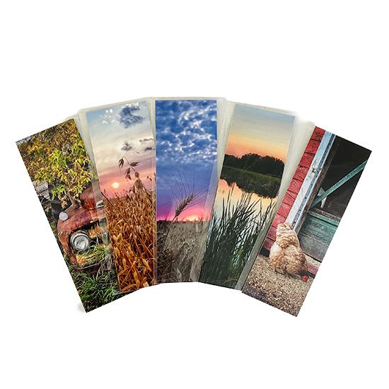 Sonya Toews Bookmarks