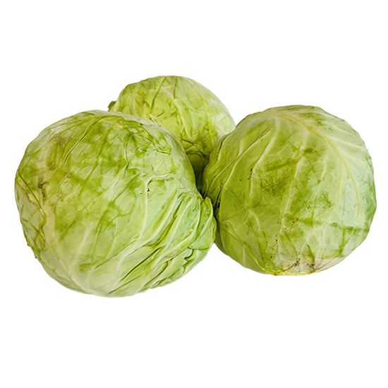 Cabbage