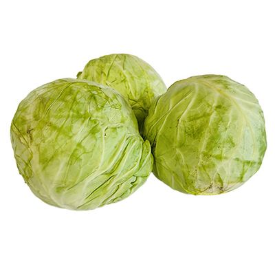 Cabbage