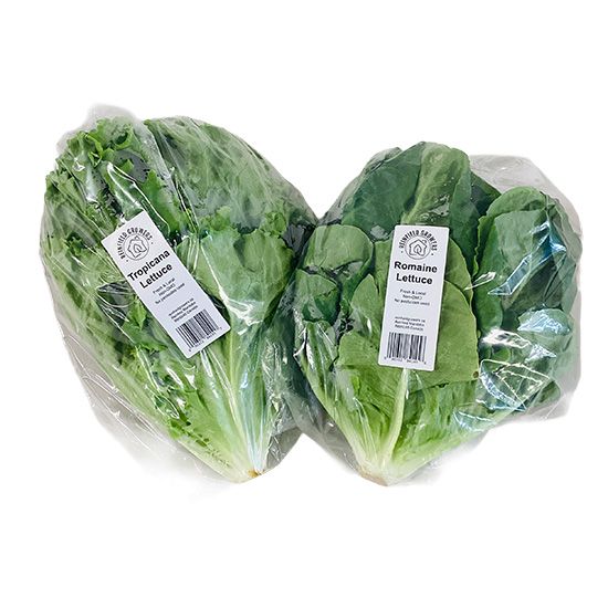 Local Lettuce Head