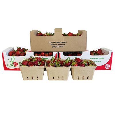 Local MB Strawberries