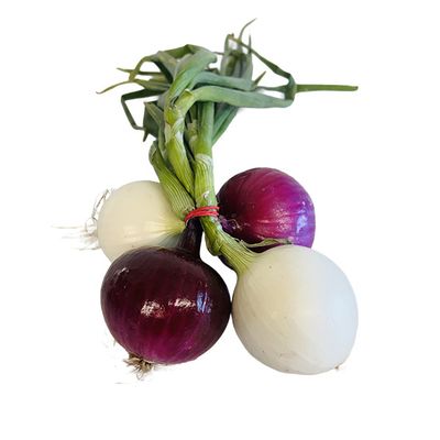 Local Onion Bunch