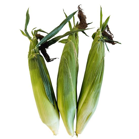 Local Corn
