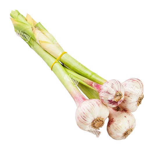 Local Garlic Bunch