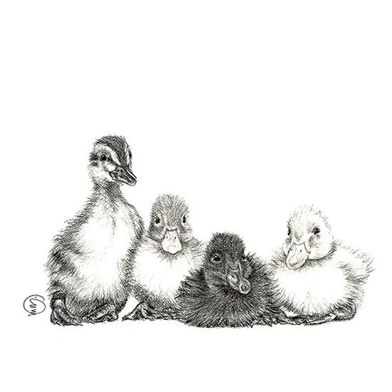 Le Nid Atelier Prints (12x18)