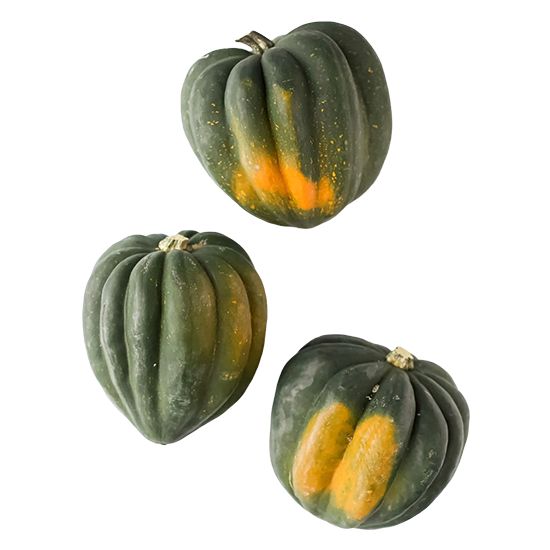 Acorn Squash