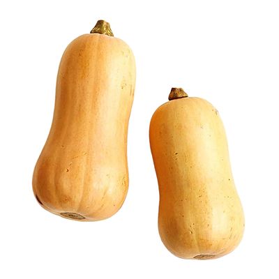 Butternut Squash