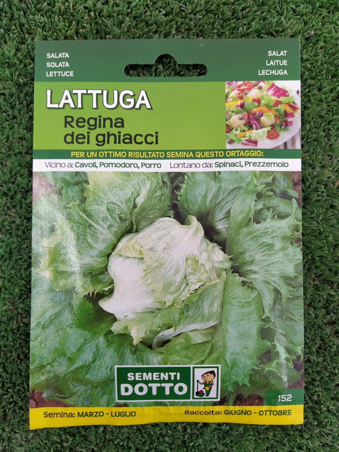 Lattuga riccia in idroponica: guida completa a dosaggi, pH ed EC - Impianti di Coltivazione in Acquaponica Lattuga riccia in idroponica: guida completa a dosaggi, pH ed EC - Impianti di Coltivazione in Acquaponica