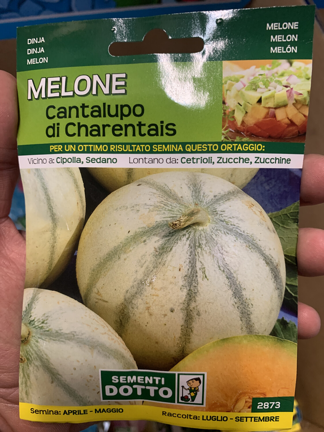 Melone Cantalupo di Charentais 120 semi - 4 gr. - Il Mondo dei Semi Melone Cantalupo di Charentais 120 semi - 4 gr. - Il Mondo dei Semi