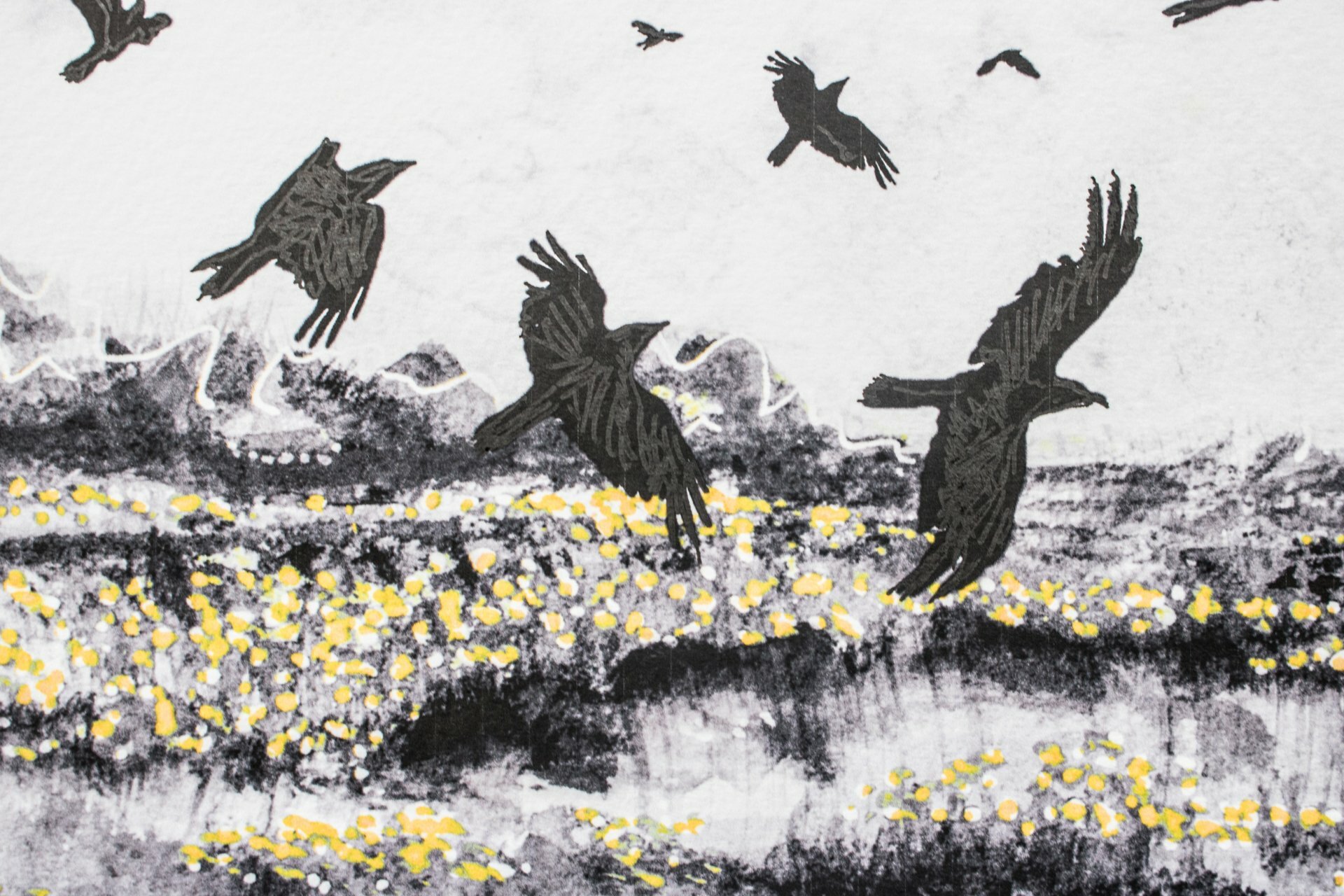 Limited Edition Prints