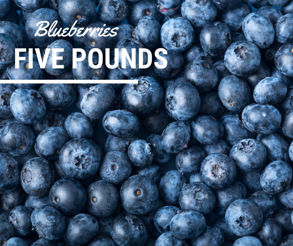 Blueberries 5 Lb