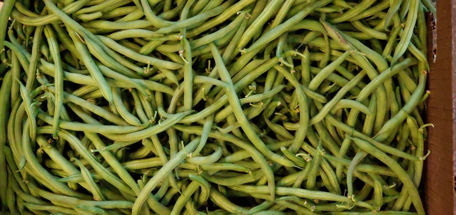 Cost Of Green Beans Per Pound at Josephine Boykin blog
