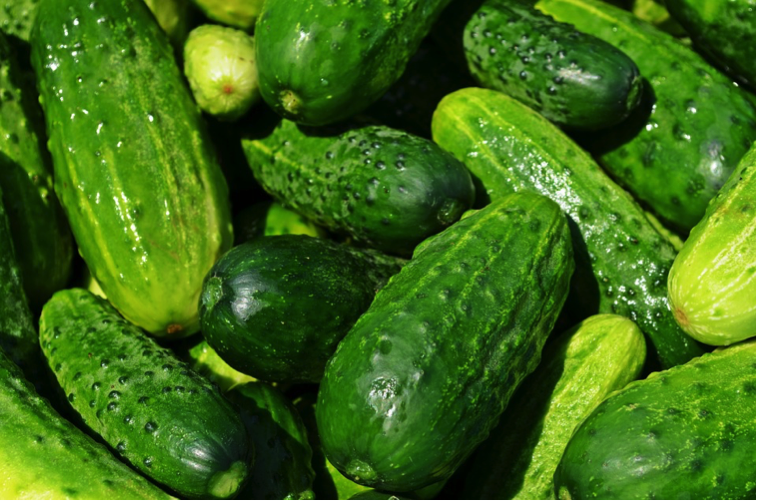 Cucumbers