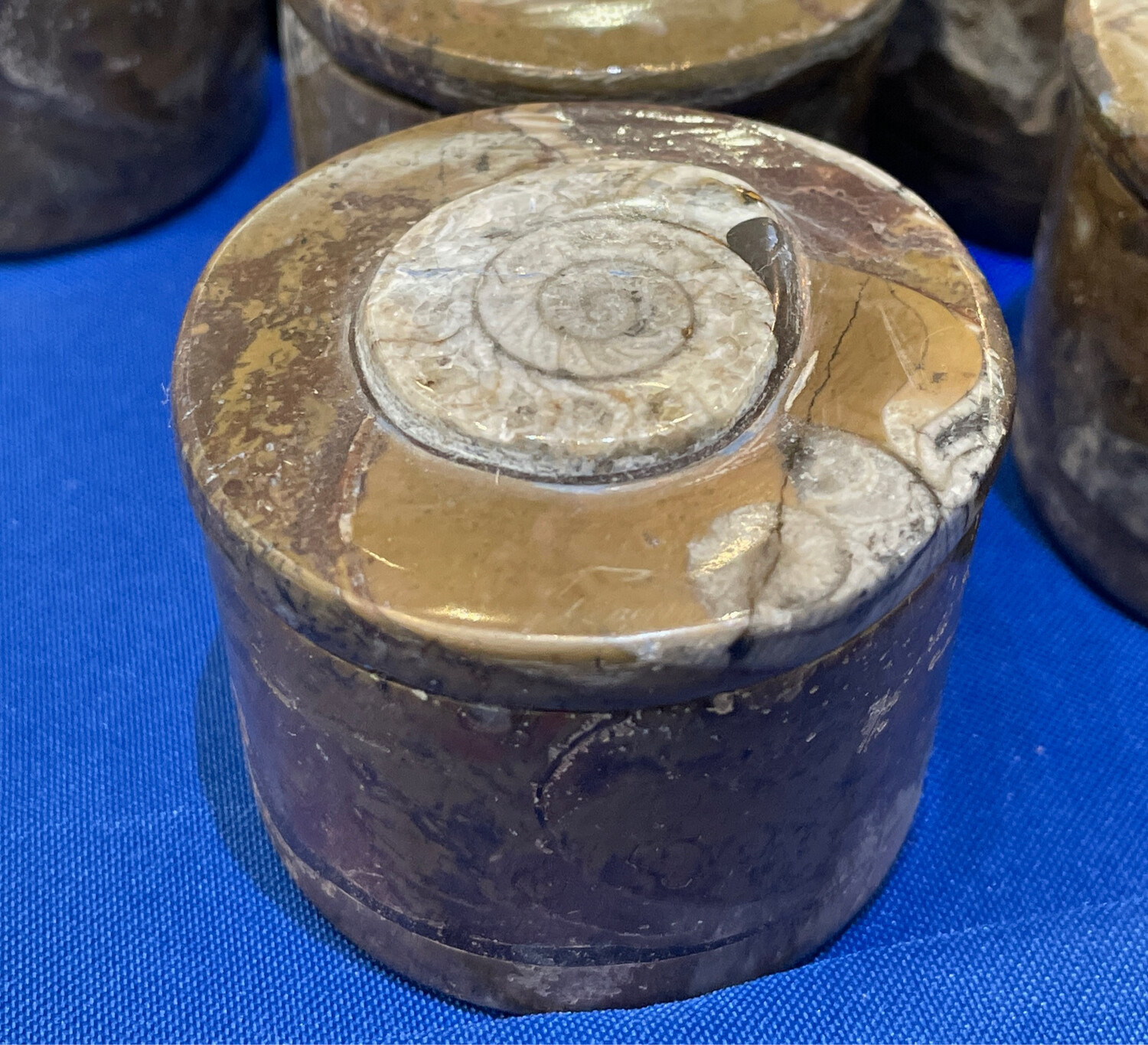 Houston Rock Shop Buy Rocks, Minerals and Fossils Online & at Our