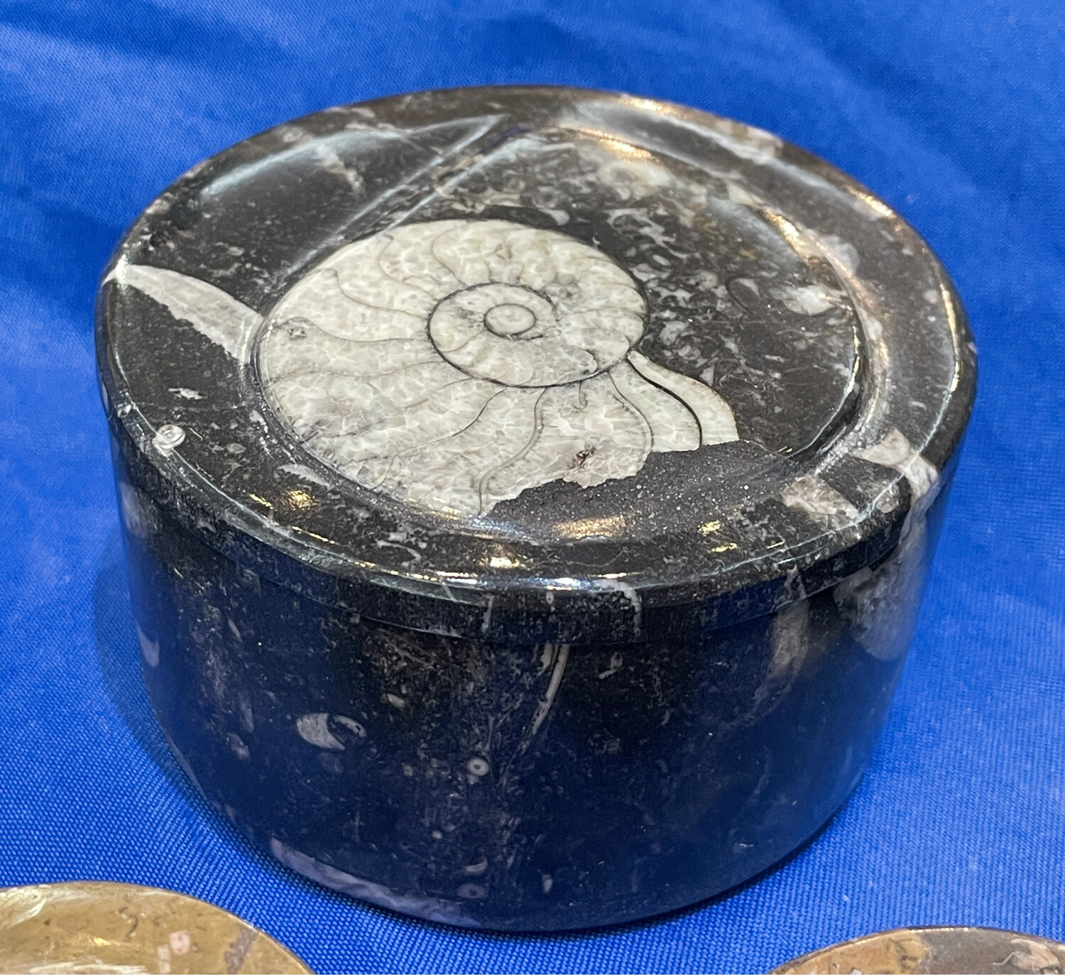 Houston Rock Shop Buy Rocks, Minerals and Fossils Online & at Our