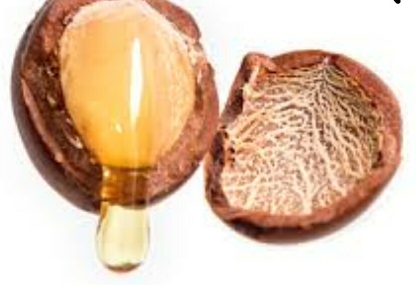 Shea Nut Oil (lb)