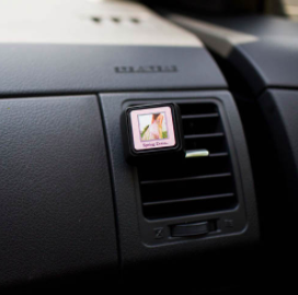 BW Car Air Freshener