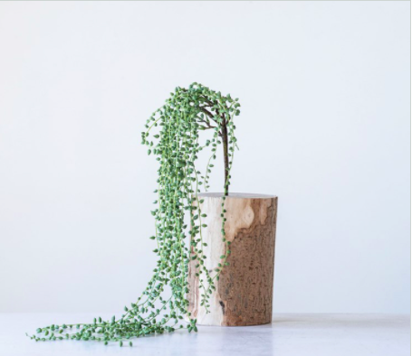 41&quot; String of Pearl Pick