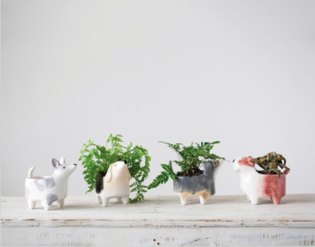 Dog Planter