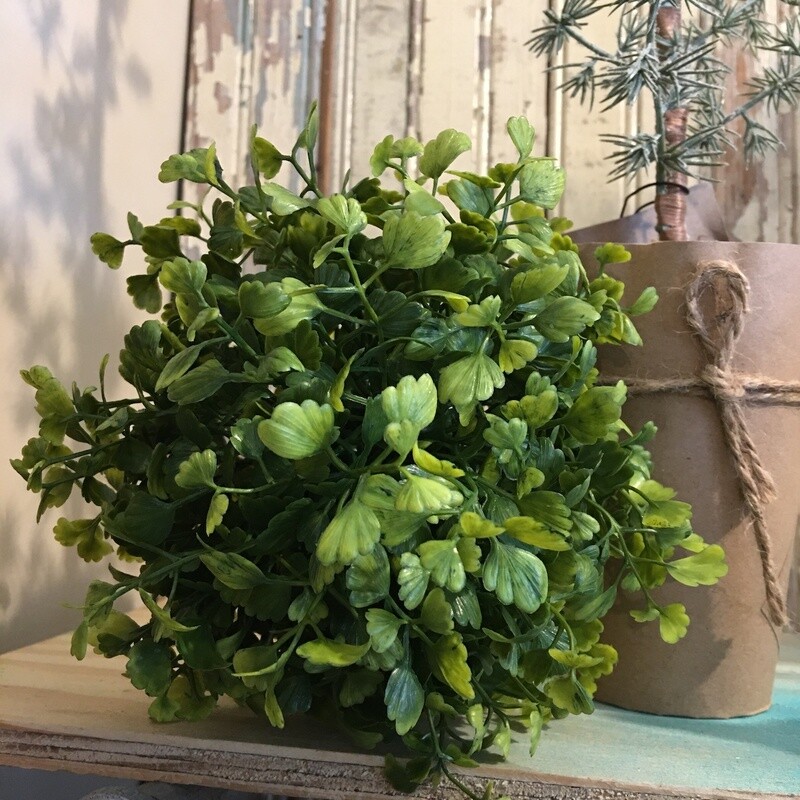 Maiden Hair Fern Sphere