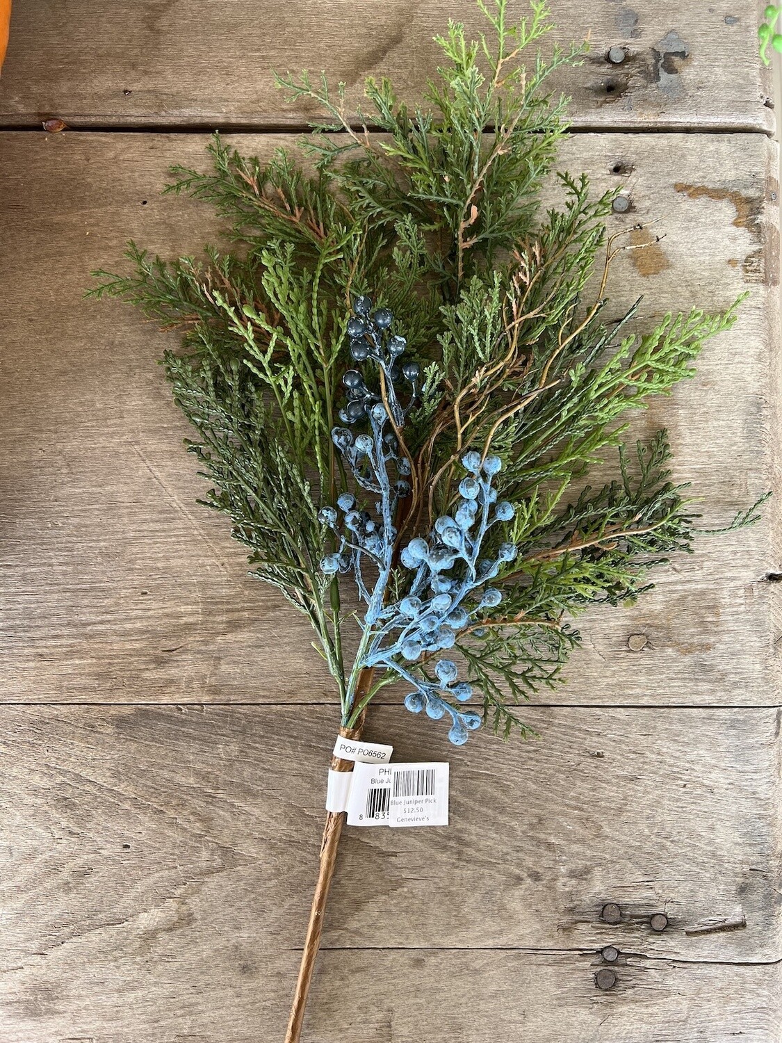 Blue Juniper Pick