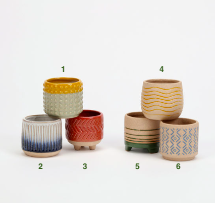 Mini Tulum 2.5&quot; Pot