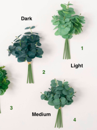 Mini Eucalyptus Bundle